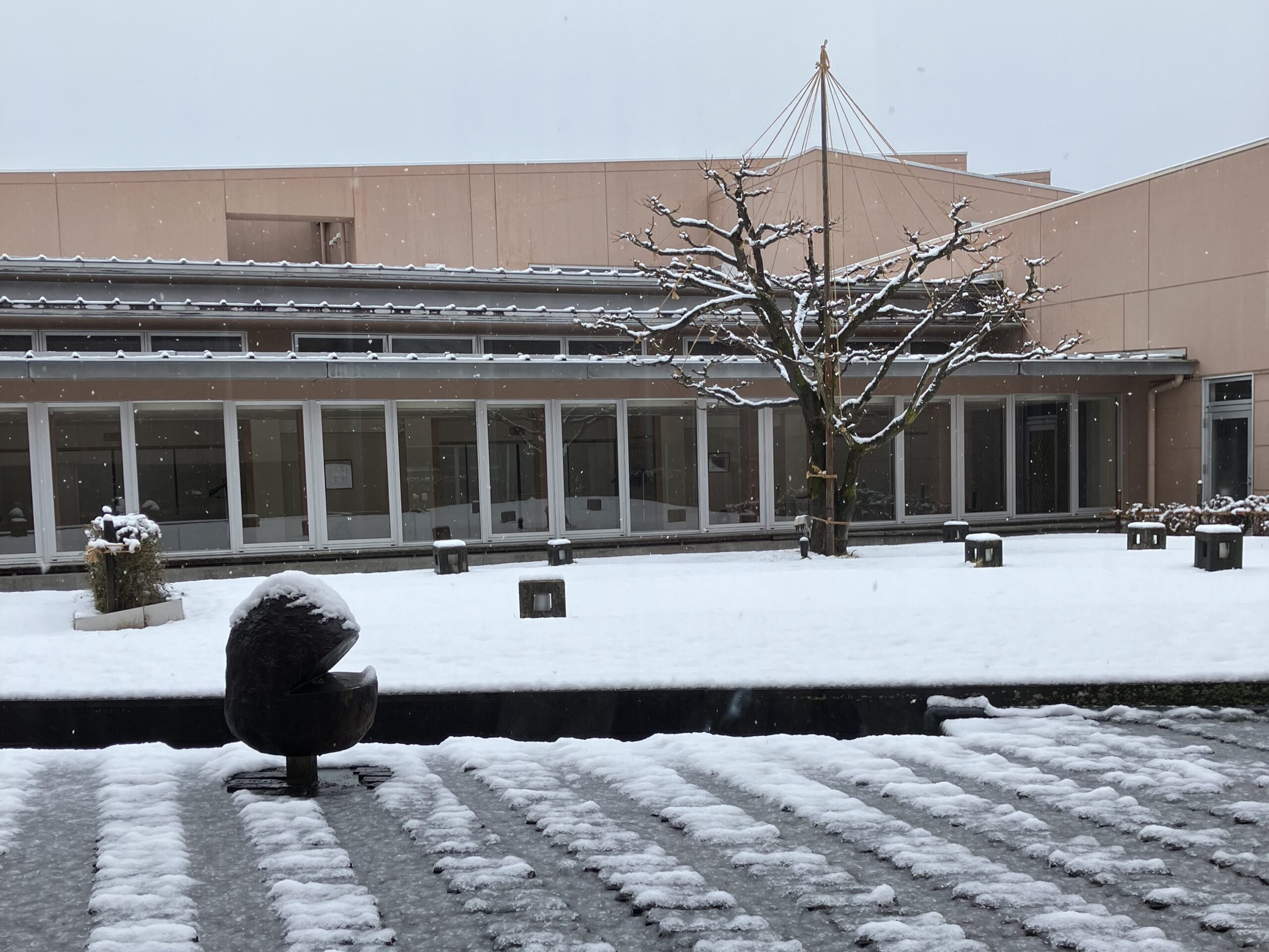 雪が降りました